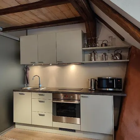 Old Town's Charming Attic Studio Apartamento Tallin