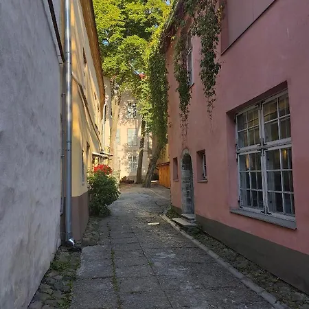 Old Town's Charming Attic Studio * Tallin
