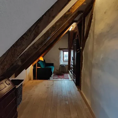 Old Town's Charming Attic Studio Apartamento