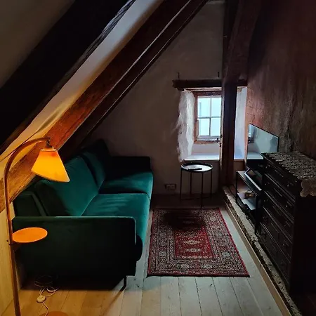 Old Town's Charming Attic Studio Apartamento Tallin